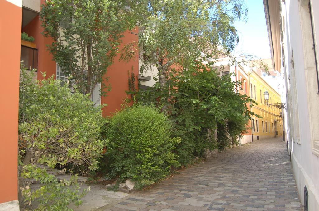 Buda Castle Apartments Budapest Rum bild