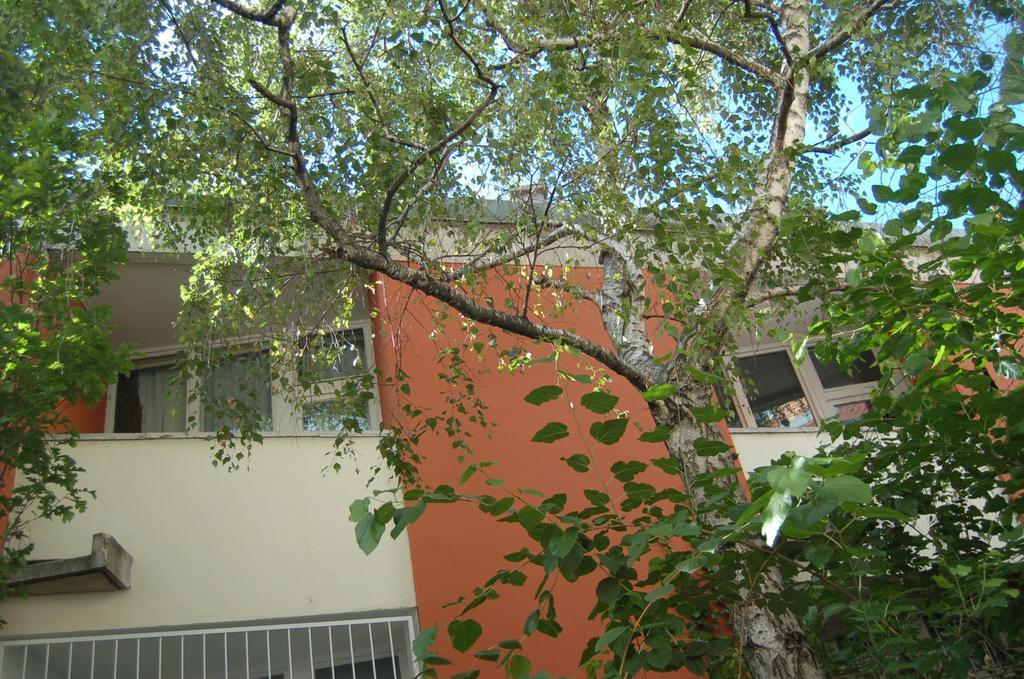 Buda Castle Apartments Budapest Rum bild