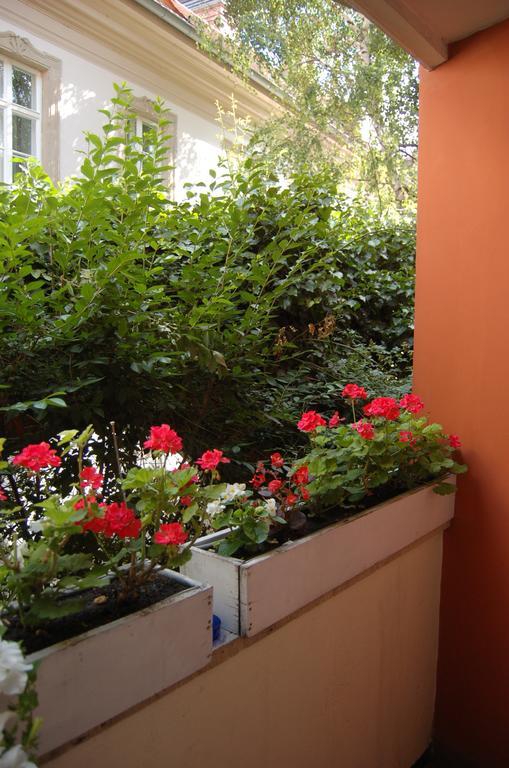 Buda Castle Apartments Budapest Rum bild